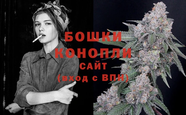 трава Вязьма
