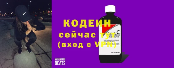 соль ск Вяземский