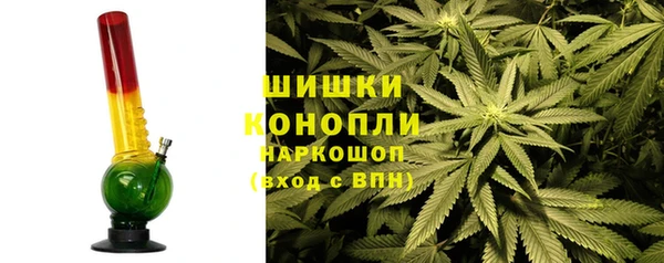 соль ск Вяземский