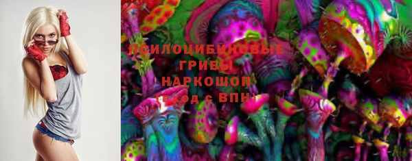 соль ск Вяземский