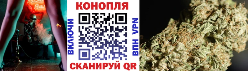 это Telegram Зуевка Марихуана White Widow